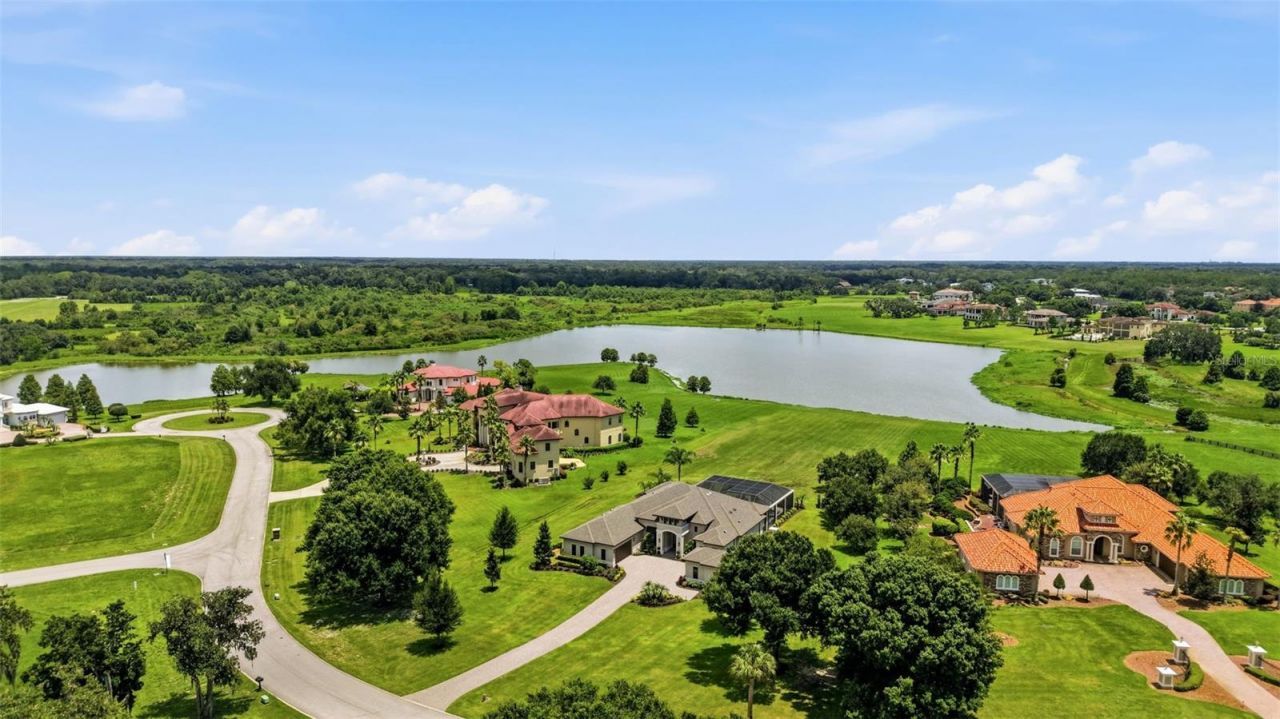 10741 Osprey Landing Way, Thonotosassa, FL 33592 Photo