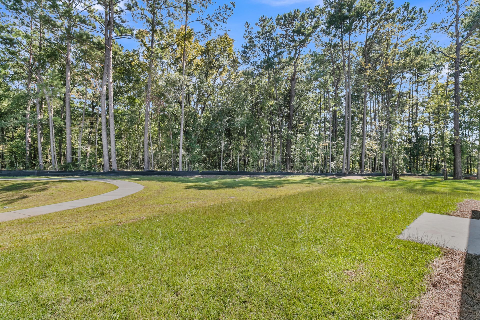 245 Central Creek Drive Photo 36