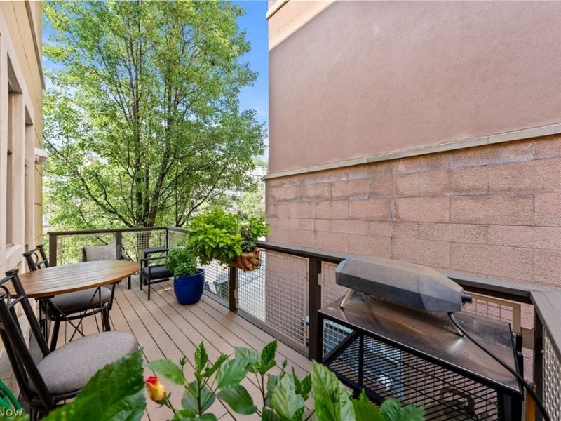 2011 Villa Carabelli Drive, Cleveland, OH 44106 Photo 42