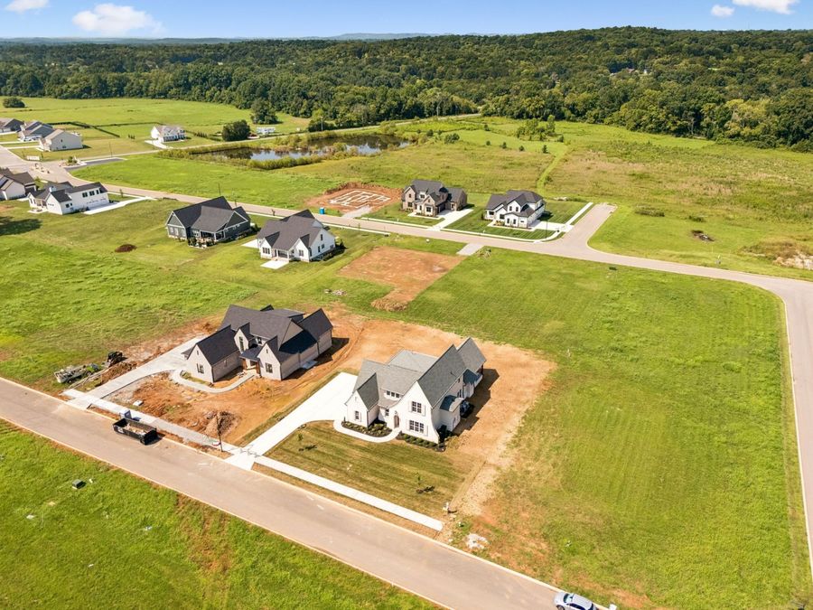 Property Image 61