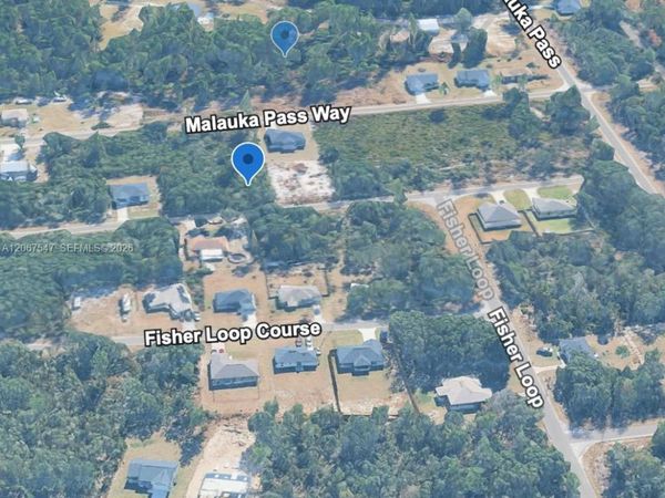 0 Malauka Trce , Ocklawaha, FL 32179