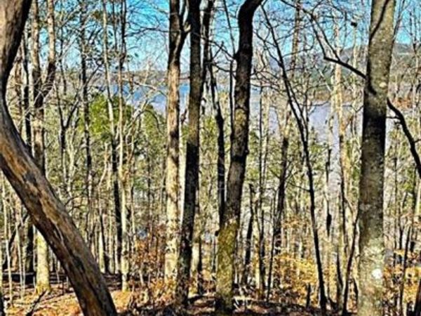 0 Overlook Drive , Chatsworth, GA 30705