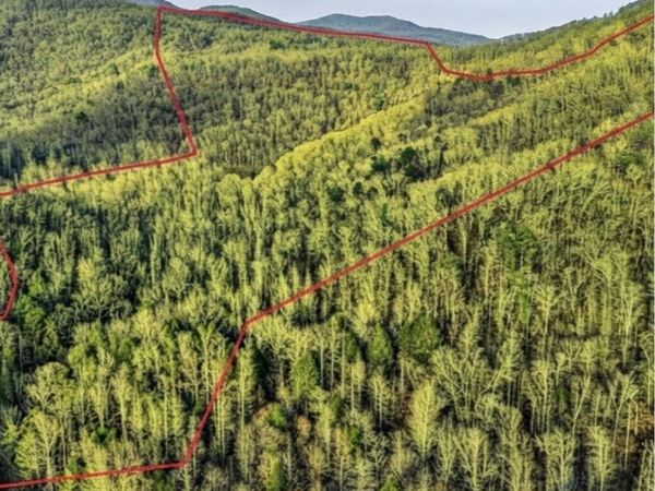 0 Hoskins Gap Rd, Oliver Springs, TN 37840