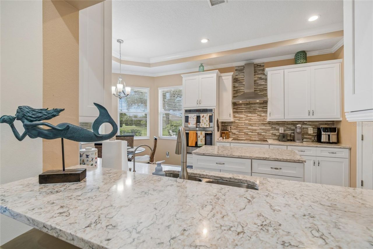 1119 Villeroy Drive, Sun City Center, FL 33573 Photo