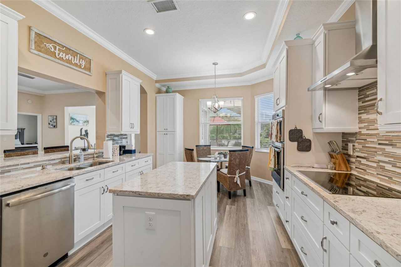 1119 Villeroy Drive, Sun City Center, FL 33573 Photo