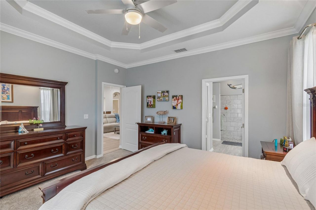 1119 Villeroy Drive, Sun City Center, FL 33573 Photo