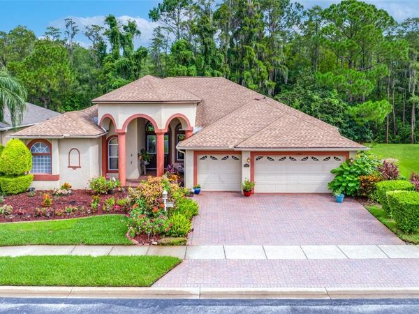 11421 STRATHAVEN COURT, TRINITY, FL 34655