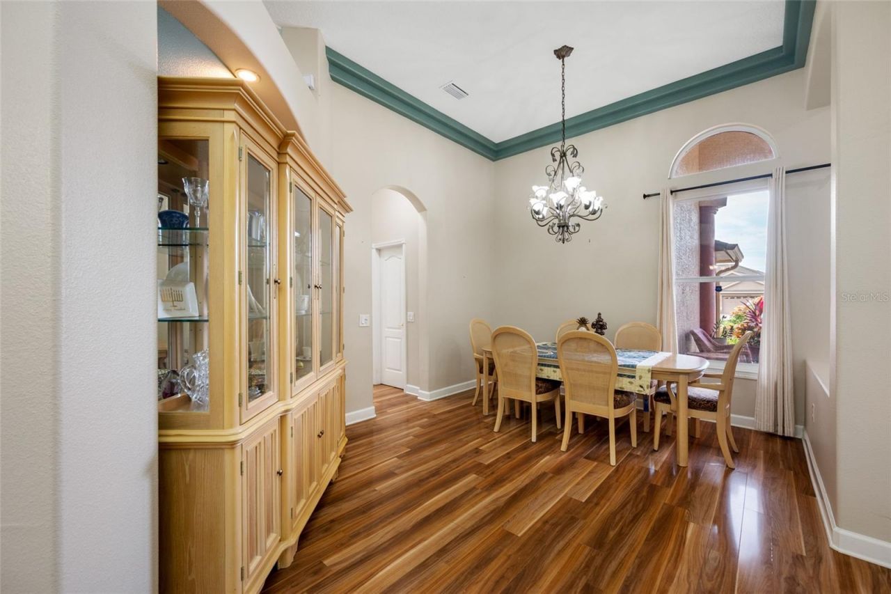 11421 Strathaven Court, Trinity, FL 34655 Photo