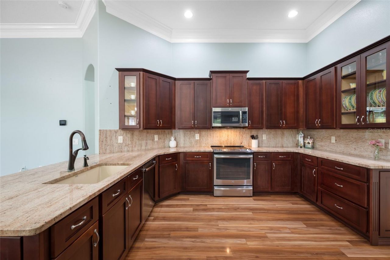 11421 Strathaven Court, Trinity, FL 34655 Photo