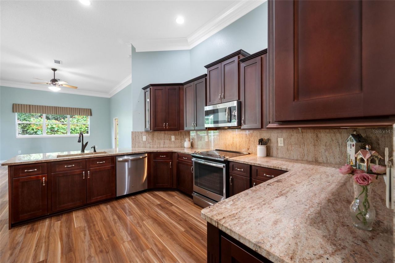 11421 Strathaven Court, Trinity, FL 34655 Photo