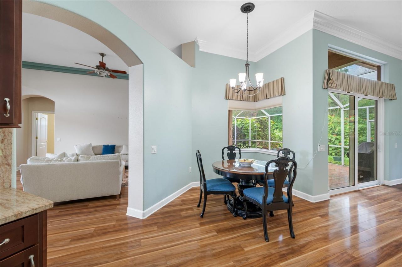 11421 Strathaven Court, Trinity, FL 34655 Photo