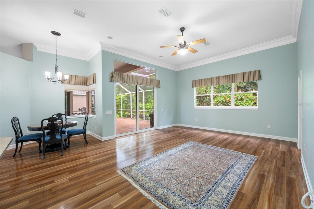 11421 Strathaven Court, Trinity, FL 34655 Photo