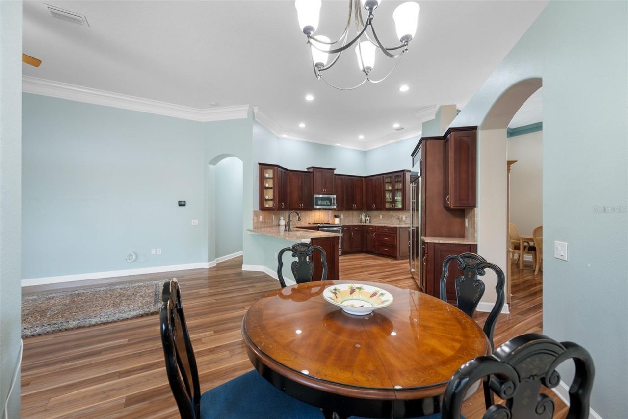 11421 Strathaven Court, Trinity, FL 34655 Photo
