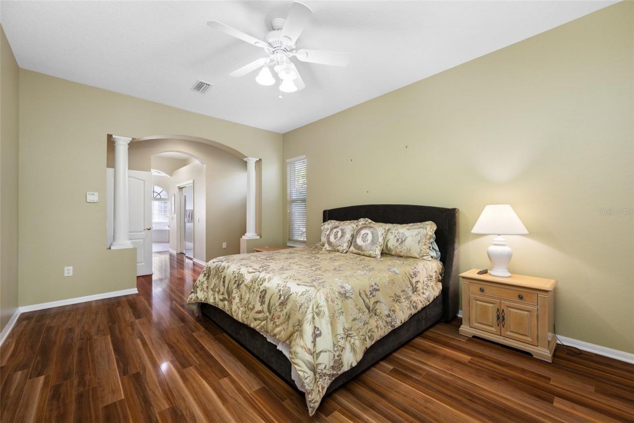 11421 Strathaven Court, Trinity, FL 34655 Photo