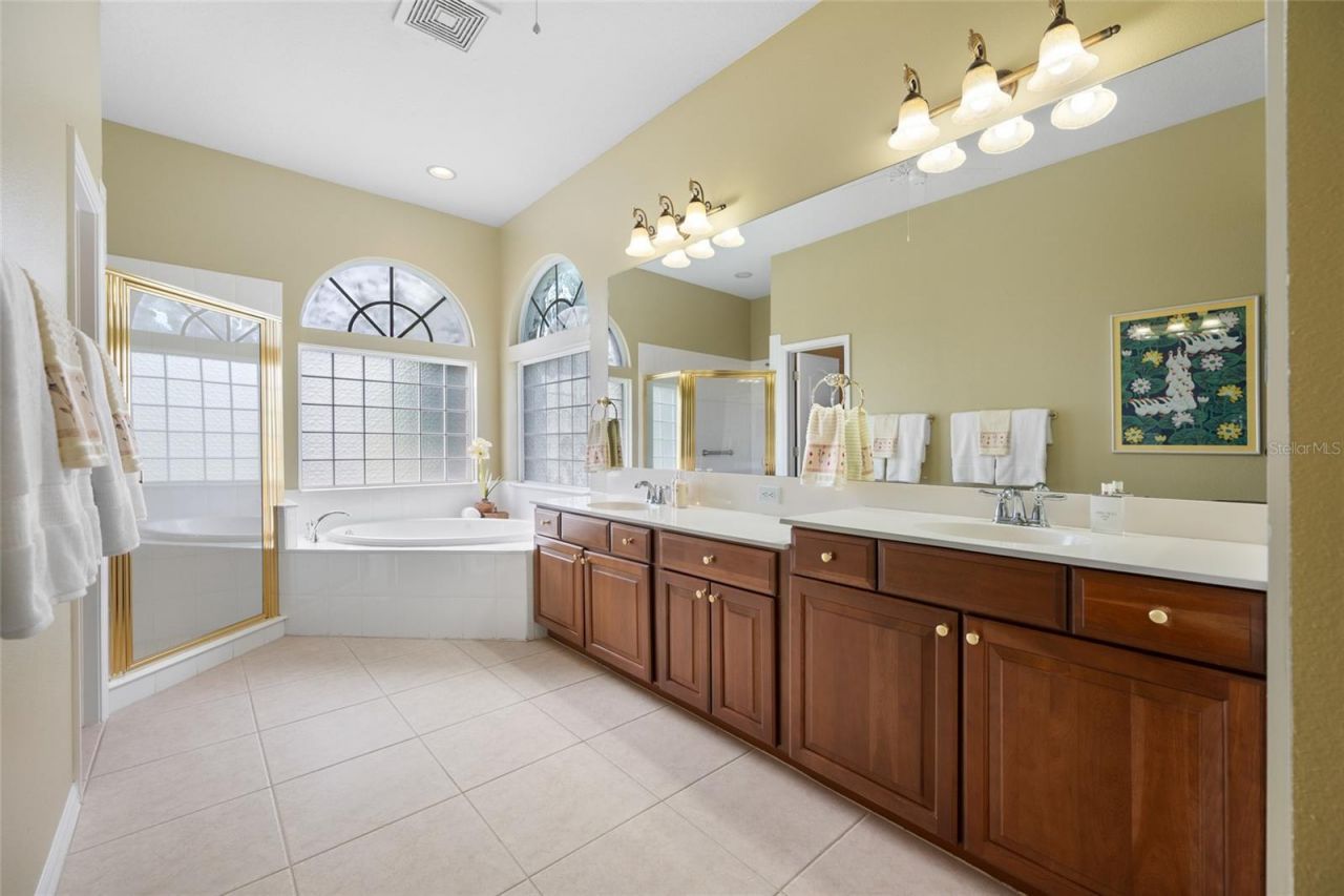 11421 Strathaven Court, Trinity, FL 34655 Photo