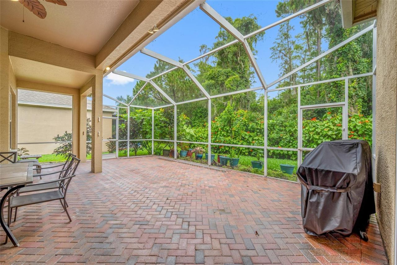 11421 Strathaven Court, Trinity, FL 34655 Photo