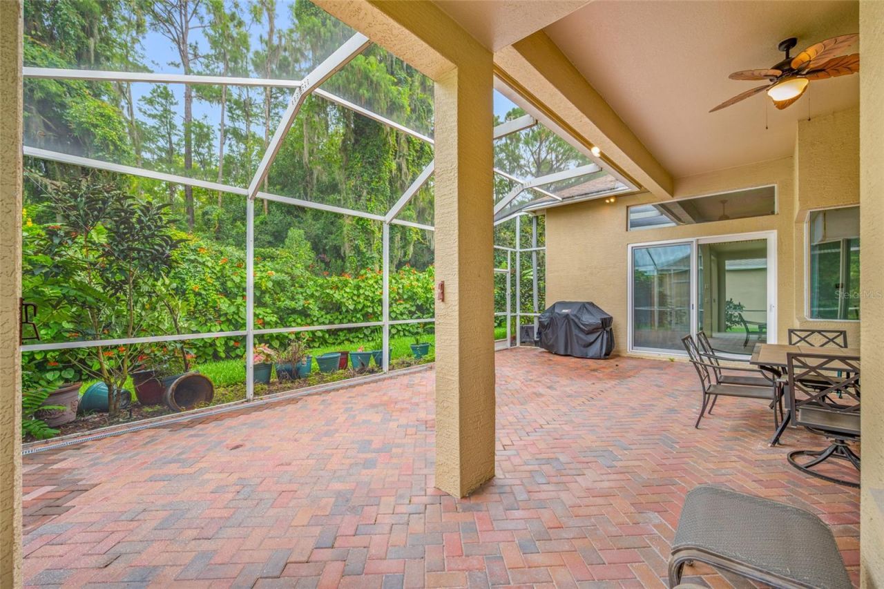 11421 Strathaven Court, Trinity, FL 34655 Photo