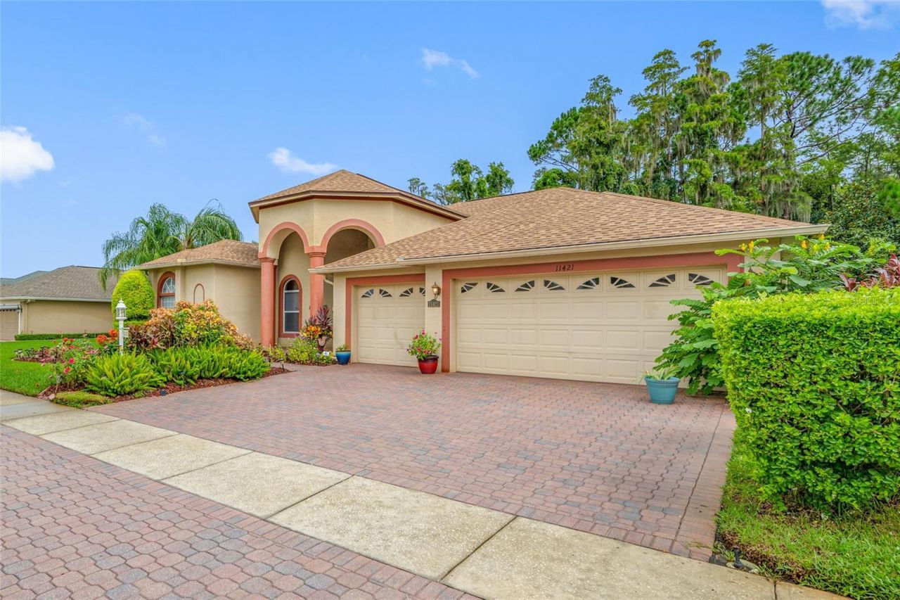 11421 Strathaven Court, Trinity, FL 34655 Photo