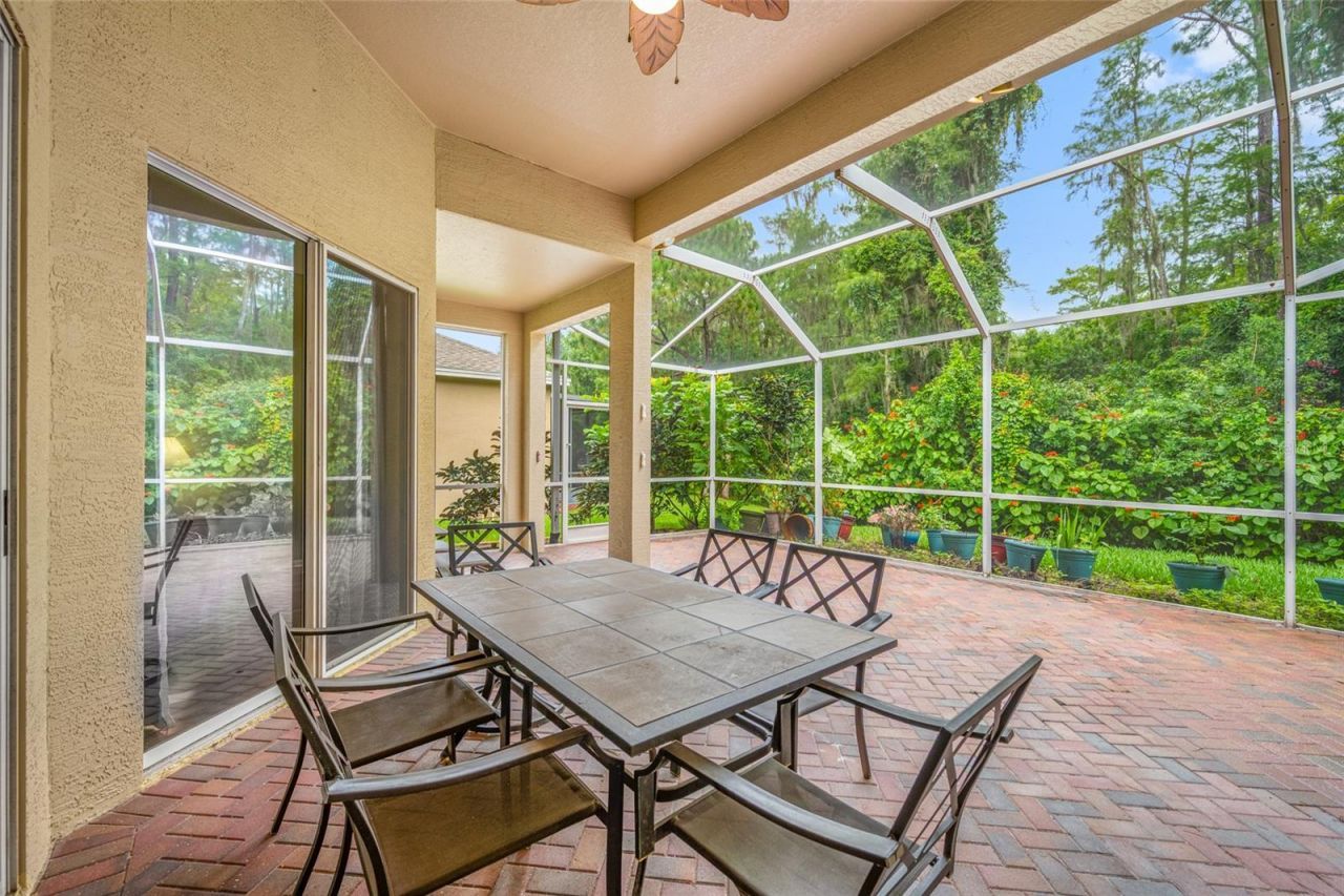 11421 Strathaven Court, Trinity, FL 34655 Photo