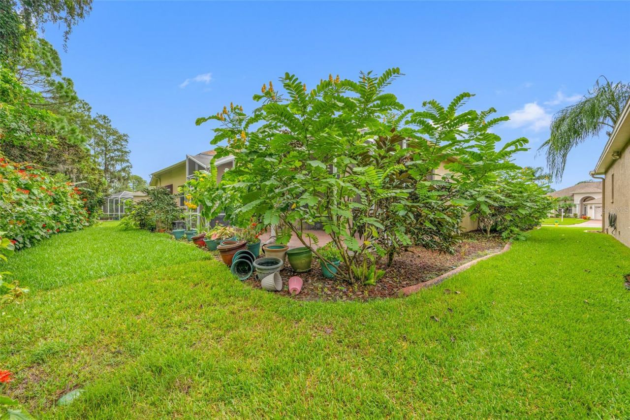 11421 Strathaven Court, Trinity, FL 34655 Photo