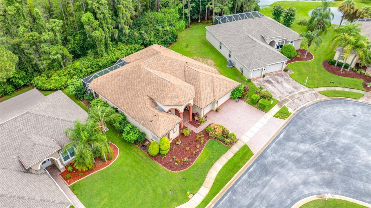 11421 Strathaven Court, Trinity, FL 34655 Photo