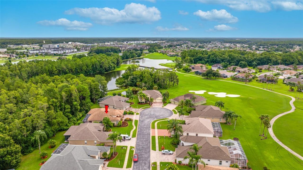 11421 Strathaven Court, Trinity, FL 34655 Photo