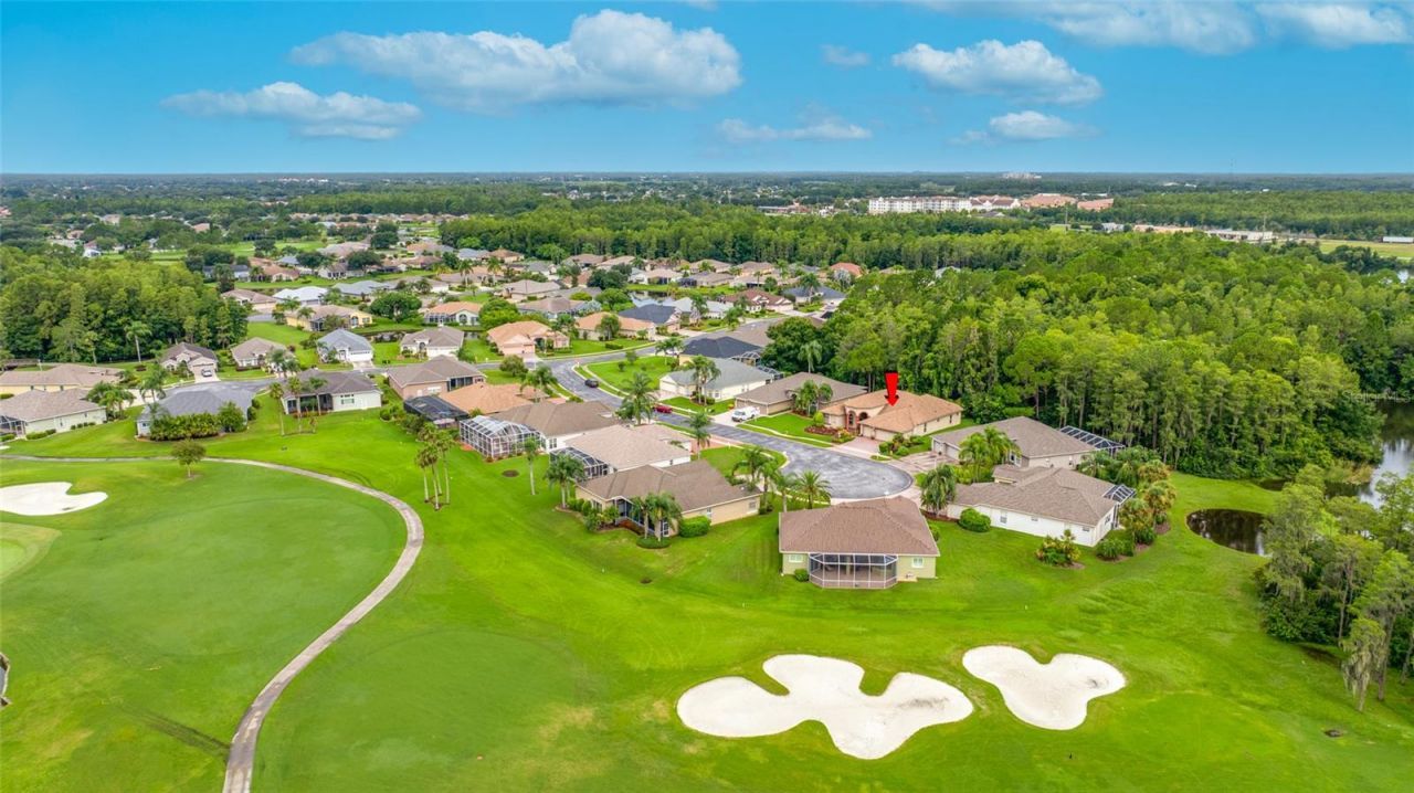 11421 Strathaven Court, Trinity, FL 34655 Photo