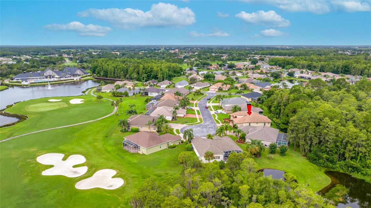 11421 Strathaven Court, Trinity, FL 34655 Photo
