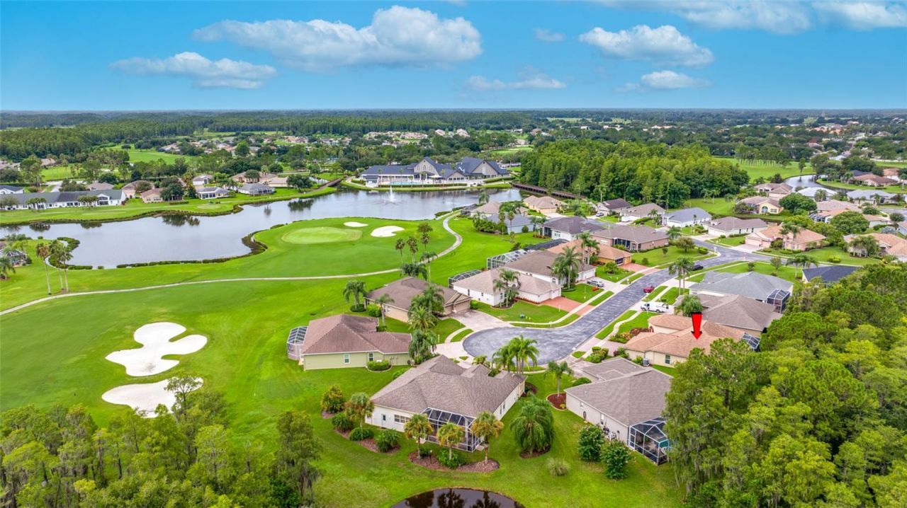 11421 Strathaven Court, Trinity, FL 34655 Photo