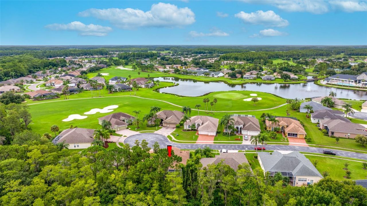 11421 Strathaven Court, Trinity, FL 34655 Photo