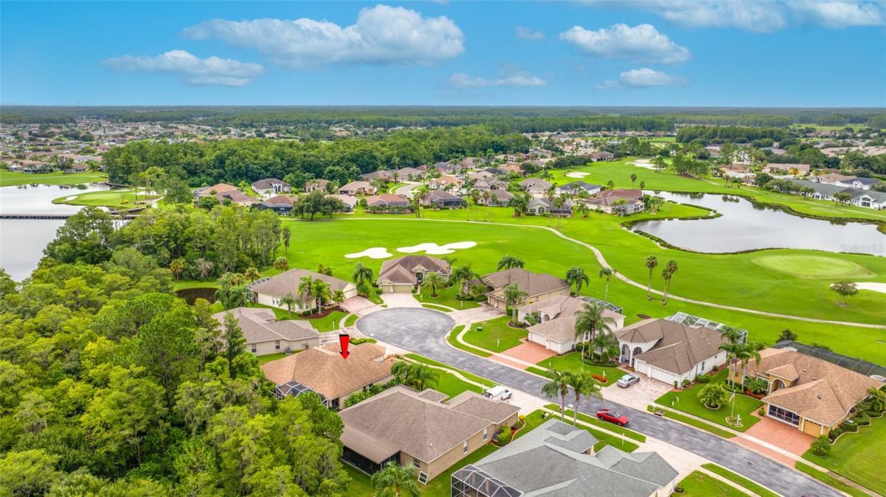 11421 Strathaven Court, Trinity, FL 34655 Photo