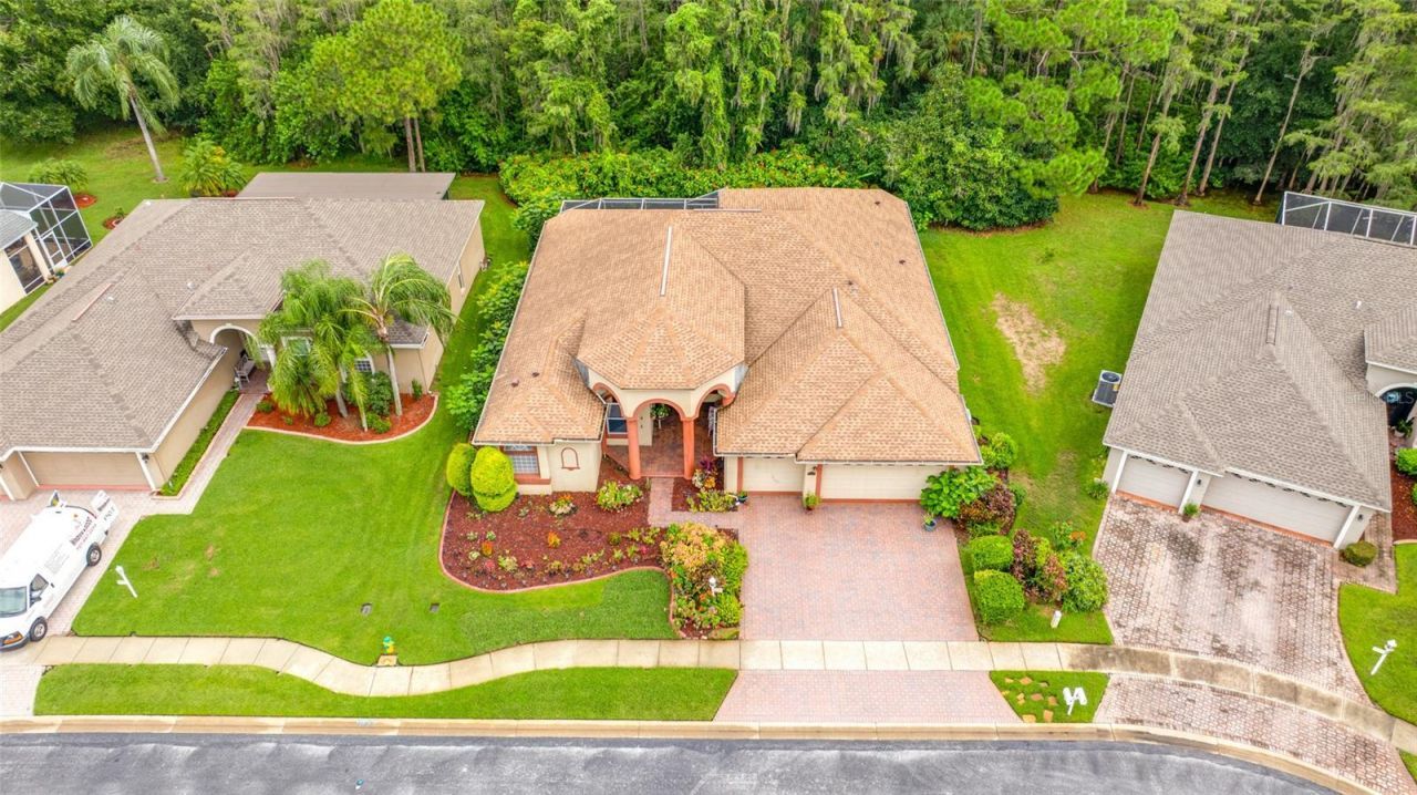11421 Strathaven Court, Trinity, FL 34655 Photo