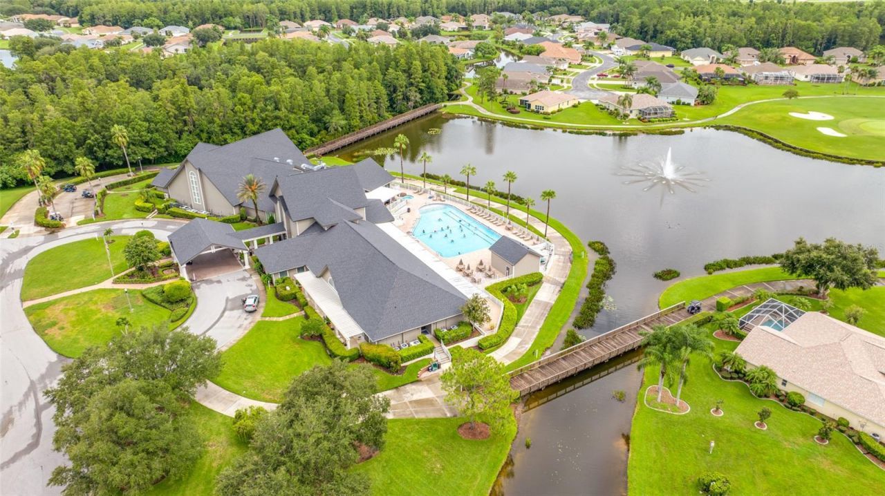 11421 Strathaven Court, Trinity, FL 34655 Photo