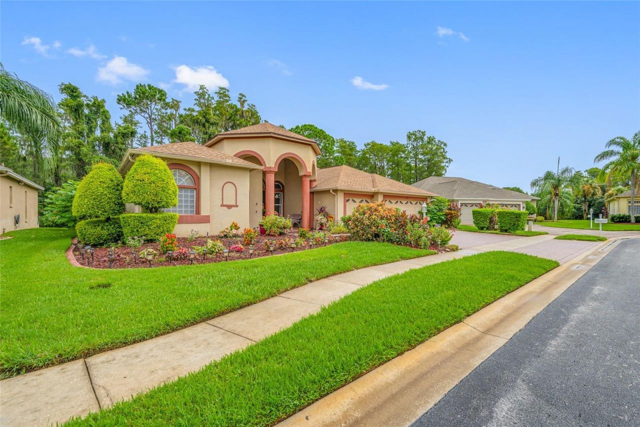 11421 Strathaven Court, Trinity, FL 34655 Photo