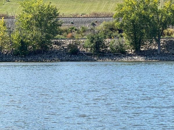 32297 Lakeview Drive, Lake City, MN 55041