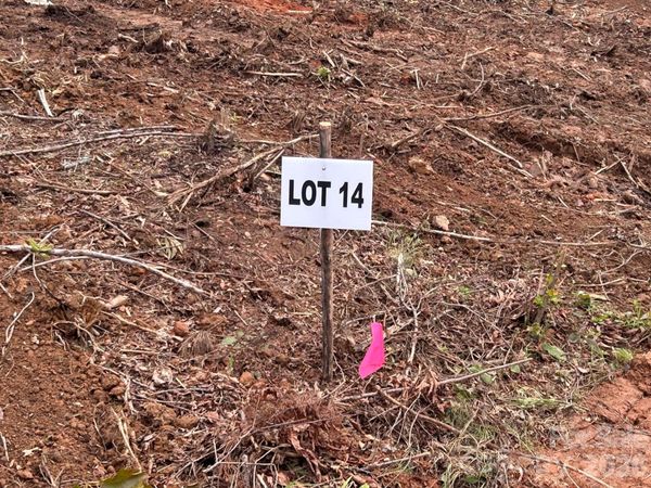 V/L Lotus Drive, Nebo, NC 28761
