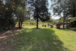 1303 Elmore Street photo 4
