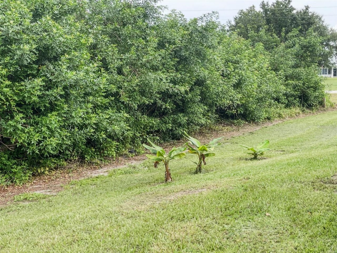 2013 Odessa Circle, Labelle, FL 33935 Photo