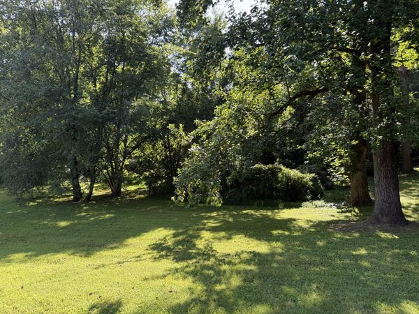 0 Azalea Dr , Unit 63, Columbia, TN 38401