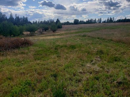 10-ac Braeburn Ln, Placerville, CA 95667 Photo