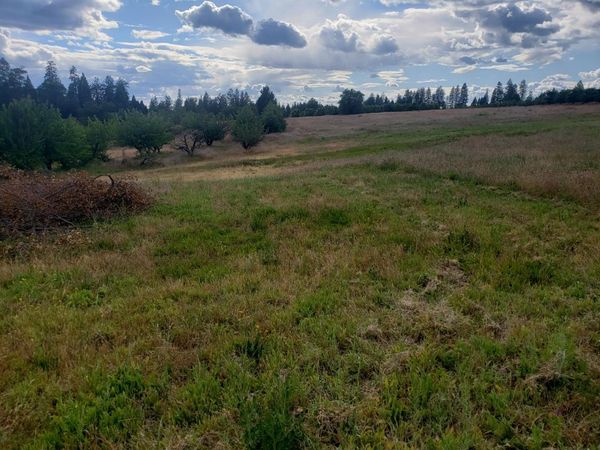 10-AC BRAEBURN Ln, Placerville, CA 95667