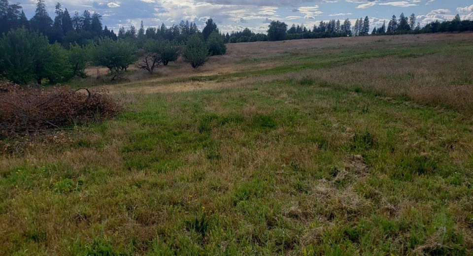10-ac Braeburn Ln, Placerville, CA 95667 Photo