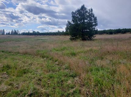 10-ac Braeburn Ln, Placerville, CA 95667 Photo