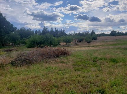 10-ac Braeburn Ln, Placerville, CA 95667 Photo