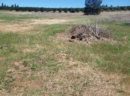 10-ac Braeburn Ln, Placerville, CA 95667 Photo