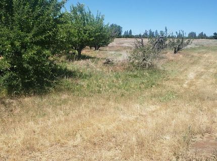 10-ac Braeburn Ln, Placerville, CA 95667 Photo