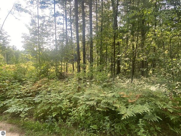 Emma Avenue S, Baldwin, MI 49304