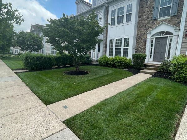 53 WILLIAMS DRIVE , FOUNTAINVILLE, PA 18923