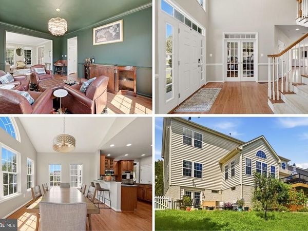 1302 MOORE SPRING COURT, BRUNSWICK, MD 21716