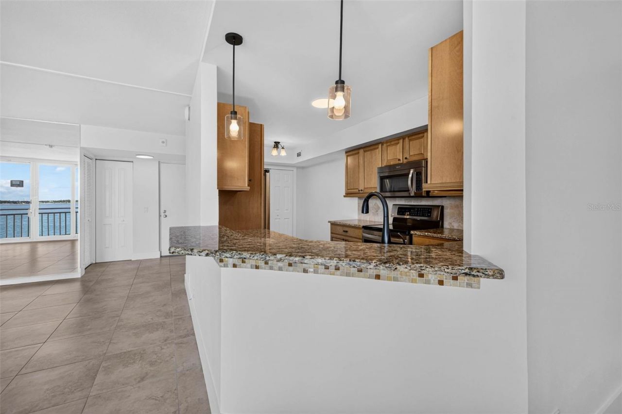 5541 Puerta Del Sol Boulevard S, Unit 412, Saint Petersburg, FL 33715 Photo